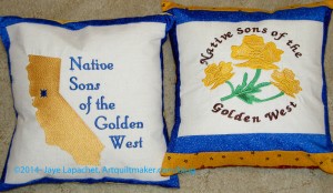 Yellow & Blue NSGW Pillows