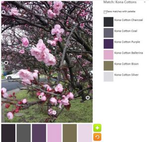 ColorPlay: CherryTree default palette